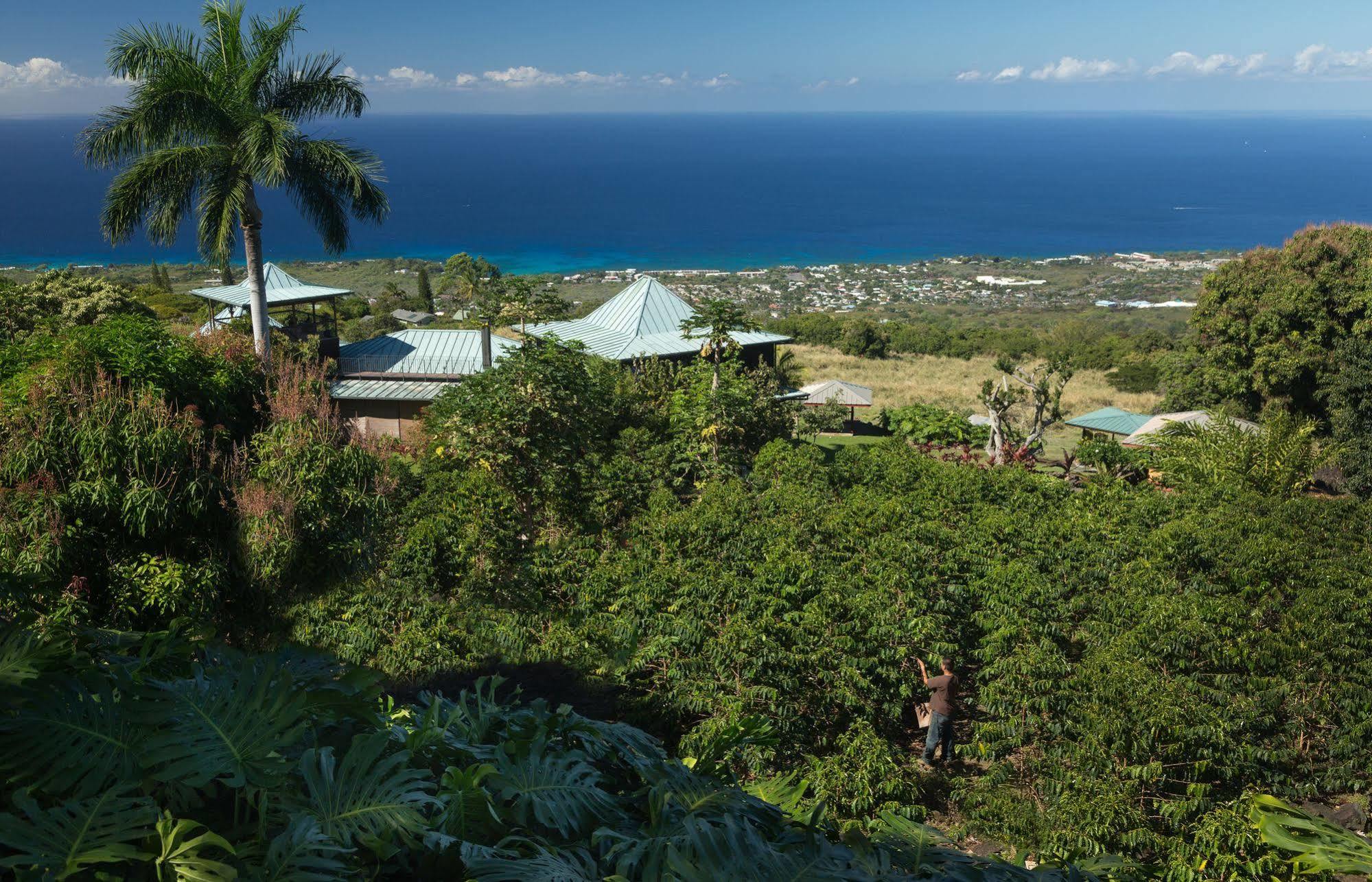 Holualoa Inn Bagian luar foto